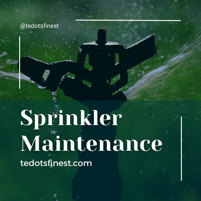 Best Sprinkler Maintenance Company in Toronto