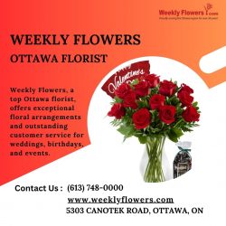 Stunning Floral Arrangements by Ottawa’s Weekly Flowers