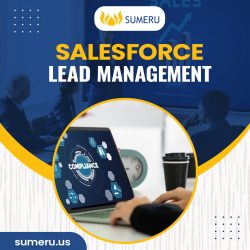 Optimize Your Sales Funnel with Salesforce Lead Management : Sumeru