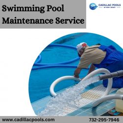 Swimming Pool Maintenance Service