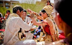 Tamil Matrimony USA Brides