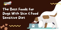 The Best Foods for Dogs With Skin & Food Sensitive Diet