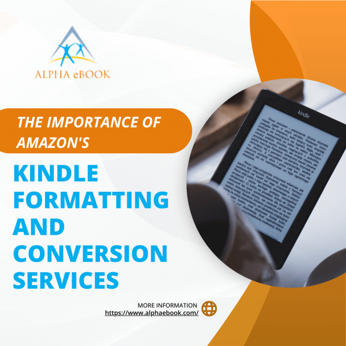 Key Advantages of Using Kindle Formatting and Conversion Services