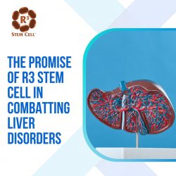 The Promise of R3 Stem Cell in Combatting Liver Disorders