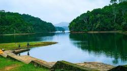 Exploring Thekkady: Nature’s Paradise in Kerala