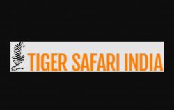 luxury tiger safari in India