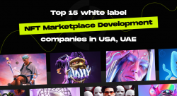 Top White Label NFT Marketplace Developers