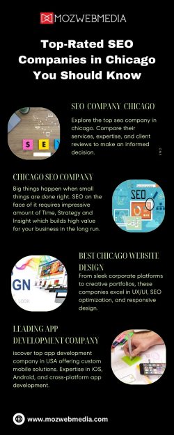 Top-Rated SEO Companies in Chicago You Should Know