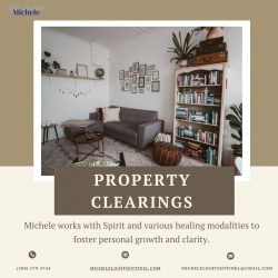 Transform Your Space with Michele Light Sentinel | Property Clearings