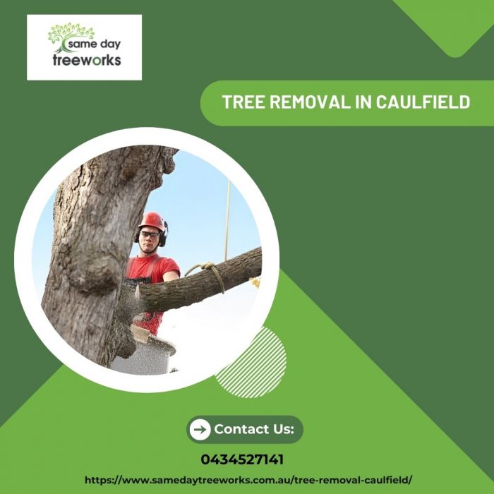 Reliable and Professional Tree Removal in Caulfield – Same Day Tree Works