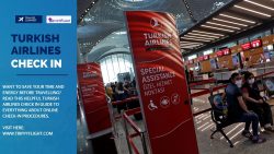 Turkish Airlines Check In | Trippy Flight