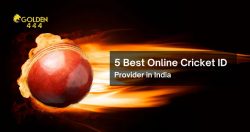 5 Best Online Cricket ID Providers in India