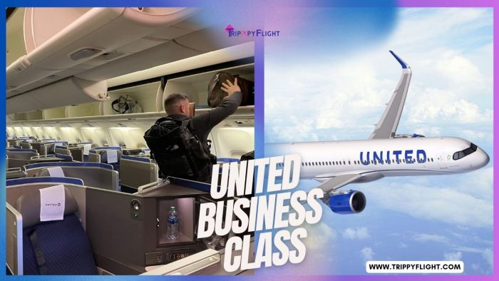 United Business Class | Trippy Flight