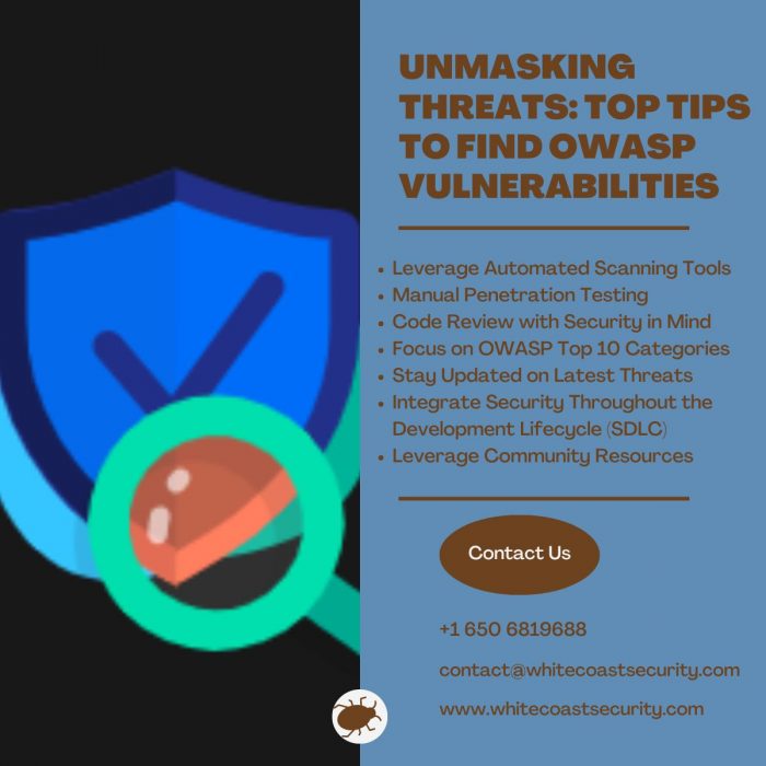 Unmasking Threats: Top Tips to Find OWASP Vulnerabilities