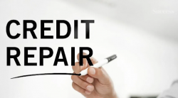 Tailored Business Credit Building Programs At Reliant Credit Repair