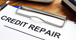 Proven Business Credit Building Program | Reliant Credit Repair