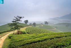 Explore Sapa: Top Activities and Attractions