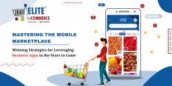 Mastering the Mobile Marketplace