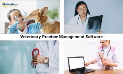 Veterinary Practice Management Software Market to be Worth $674.5 Million by 2031