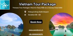 Vietnam Tour Packages: Discover Bana Hills on a Journey from Delhi