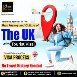 Visa Travel Expert Immigration Consultant | Top visa consultants in Chandigarh