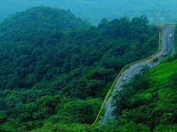 Discovering Wayanad: Kerala’s Serene Escape