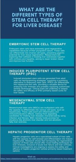 What Are the Different Types of Stem Cell Therapy for Liver Disease?