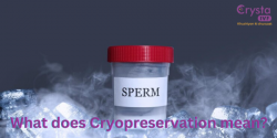 What does Cryopreservation mean?