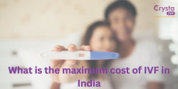 What is the maximum cost of IVF in India?