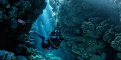 Explore Thrilling Scuba Diving Jobs