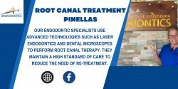 Emergency Root Canal Pinellas