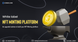 White Label NFT Minting Platform Development