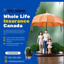 Secure Your Future with Whole Life Insurance in Canada from Vertex Insurance and Investments Inc