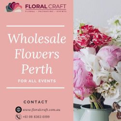 Floral Craft | A Shop for Wholesale Flowers in Perth