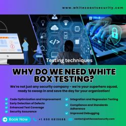 Why Do We Need White Box Testing?