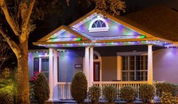 Year-Round LED Holiday Lights – Illuminate Every Occasion