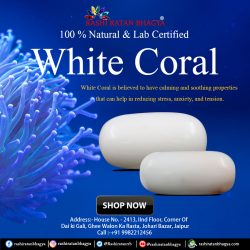 Get Certified White Coral stone at Best Price