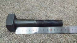 Square head track bolt