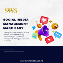 Professional Digital Marketing Services
