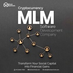 Cryptocurrency MLM software development company