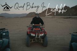 Thrilling Quad Biking in Ladakh: A Complete Adventure Guide for Adrenaline Junkies