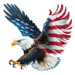 Philadelphia Eagles Svg