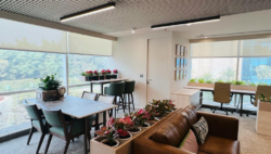 Open-Plan Office Designs for Collaborative Work