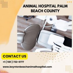 Animal Hospital Palm Beach County