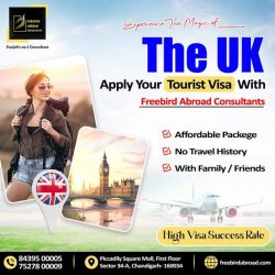 Tourist Visa Consultants in Chandigarh
