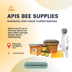 Beekeeping For Beginners