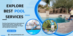 Professional Pool Cleaning and Maintenance Services