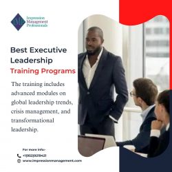 Best Executive Leadership Training Programs