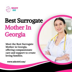 Best Surrogate Mother In Georgia