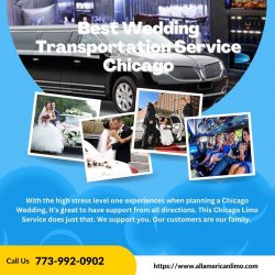 Best Wedding Transportation Service Chicago